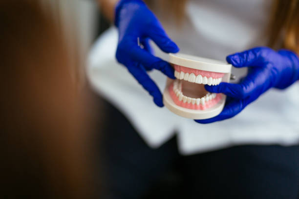Trusted Eddington, PA  Holistic Dental Services Experts